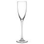 Splash-X Kunststof Champagneglas Guus 15 cl clear