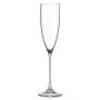 Splash-X Kunststof Champagneglas Lyra 19cl